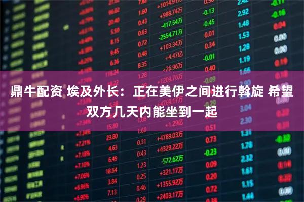 鼎牛配资 埃及外长：正在美伊之间进行斡旋 希望双方几天内能坐到一起