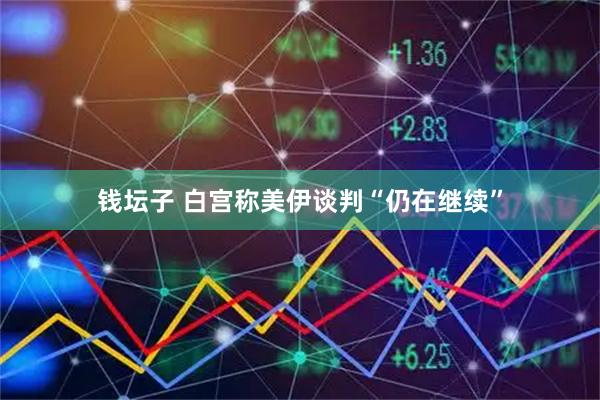 钱坛子 白宫称美伊谈判“仍在继续”