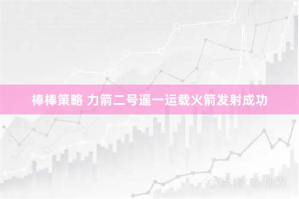 棒棒策略 力箭二号遥一运载火箭发射成功